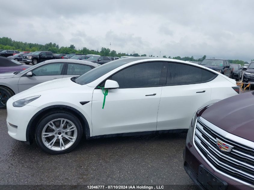 2021 Tesla Model Y VIN: 5YJYGDEE5MF259214 Lot: 12046777