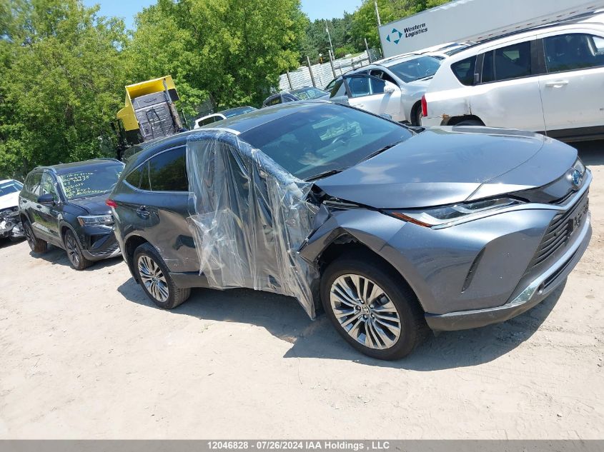 2021 Toyota Venza VIN: JTEAAAAHXMJ050072 Lot: 12046828