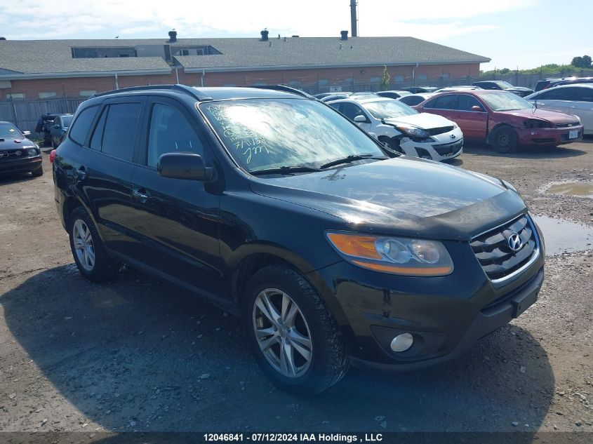 2010 Hyundai Santa Fe Limited VIN: 5NMSHDAG9AH348188 Lot: 12046841