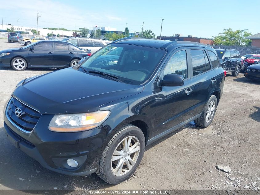 2010 Hyundai Santa Fe Limited VIN: 5NMSHDAG9AH348188 Lot: 12046841