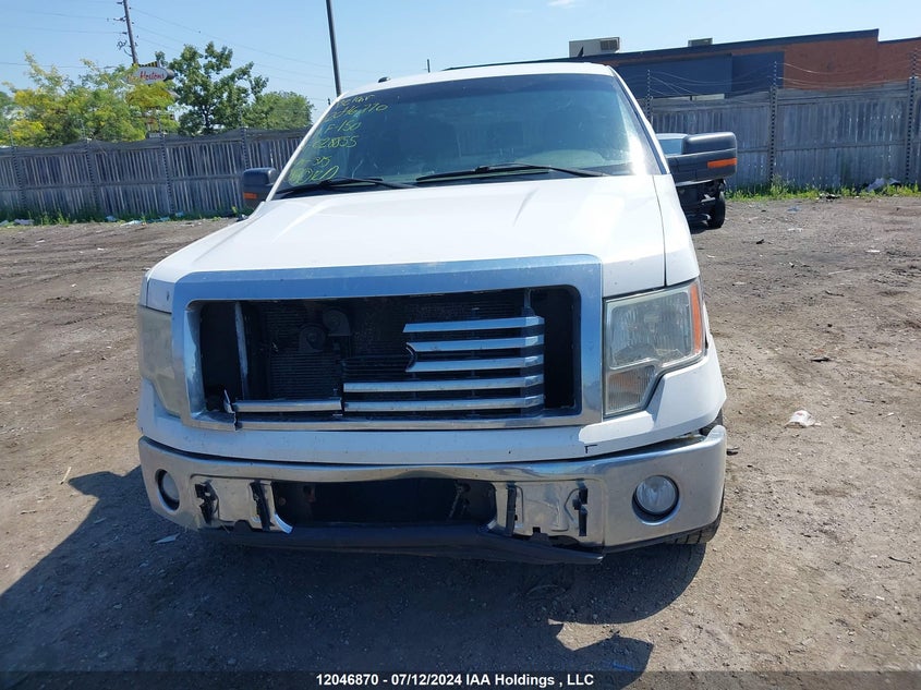 2011 Ford F-150 VIN: 1FTFX1CF6BFC28855 Lot: 12046870