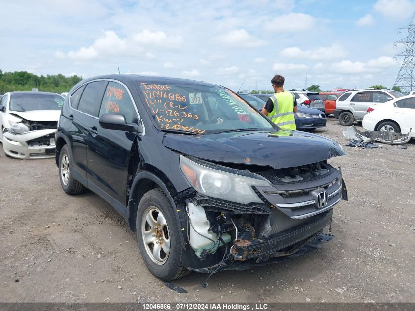 2014 Honda Cr-V VIN: 2HKRM4H54EH126360 Lot: 12046886