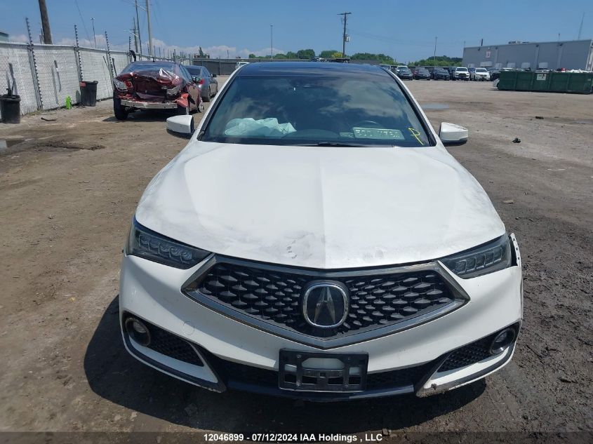 2019 Acura Tlx VIN: 19UUB3F67KA801077 Lot: 12046899