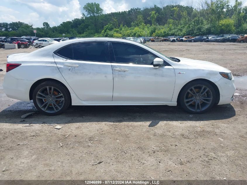 2019 Acura Tlx VIN: 19UUB3F67KA801077 Lot: 12046899