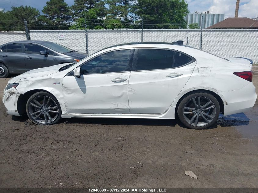 2019 Acura Tlx VIN: 19UUB3F67KA801077 Lot: 12046899