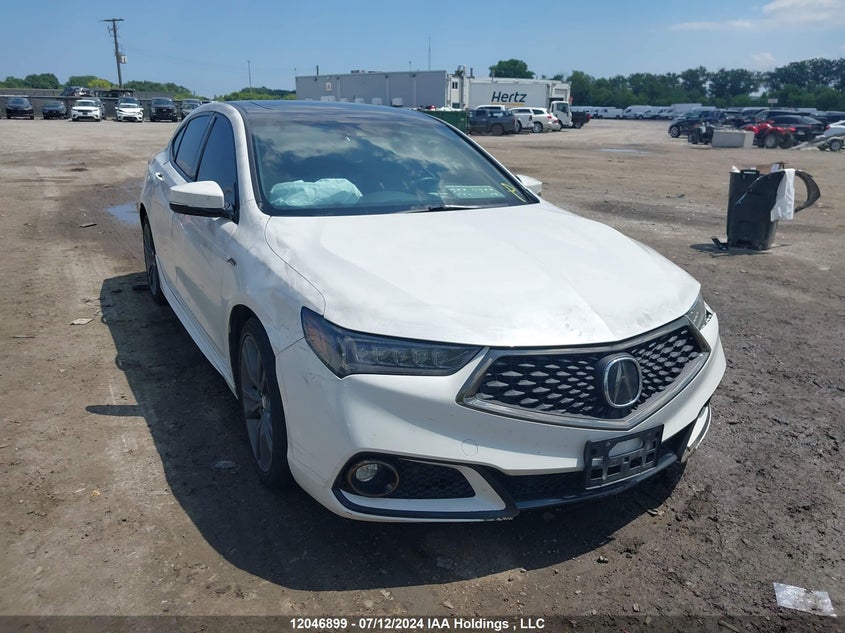 2019 Acura Tlx VIN: 19UUB3F67KA801077 Lot: 12046899
