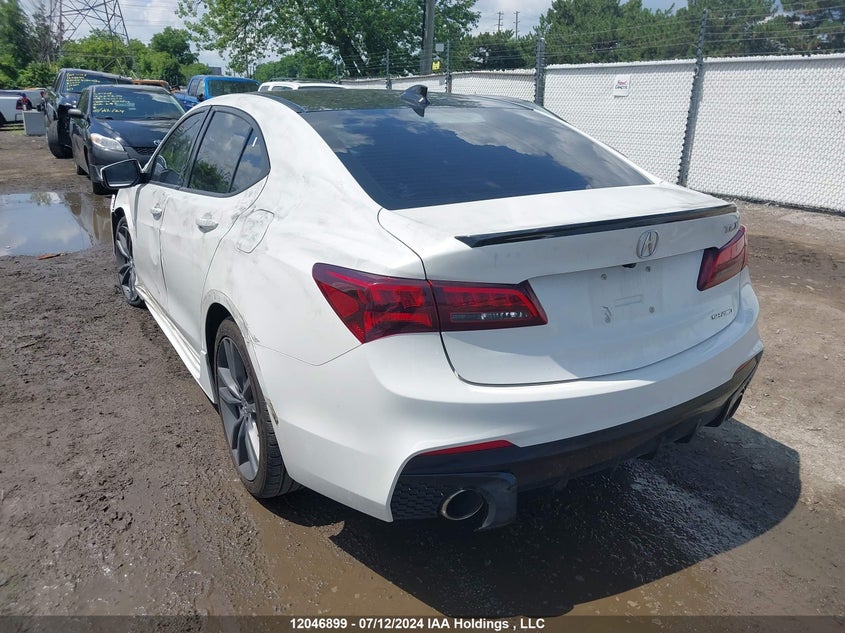 2019 Acura Tlx VIN: 19UUB3F67KA801077 Lot: 12046899