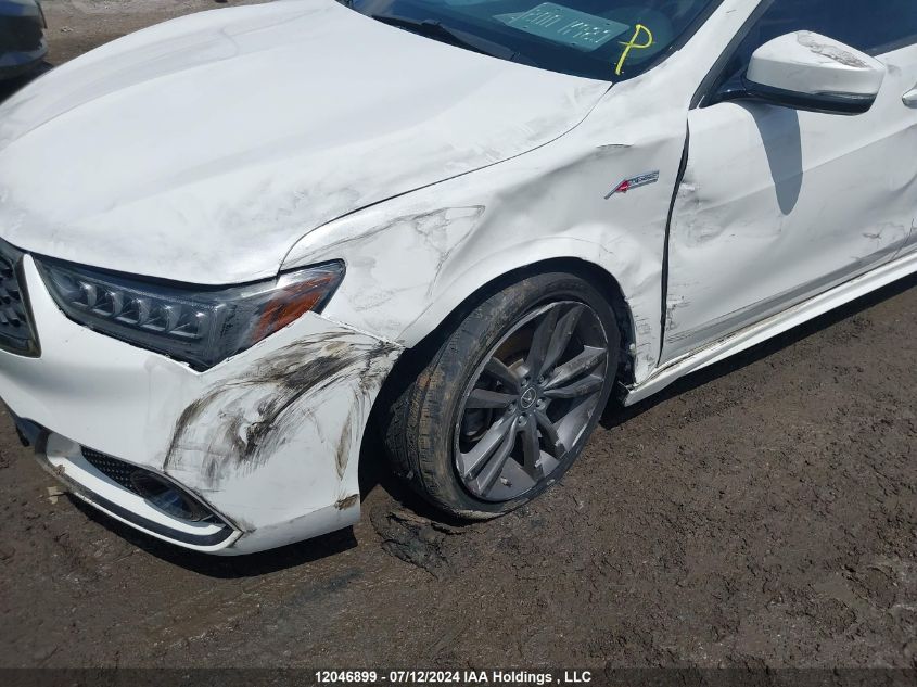 2019 Acura Tlx VIN: 19UUB3F67KA801077 Lot: 12046899