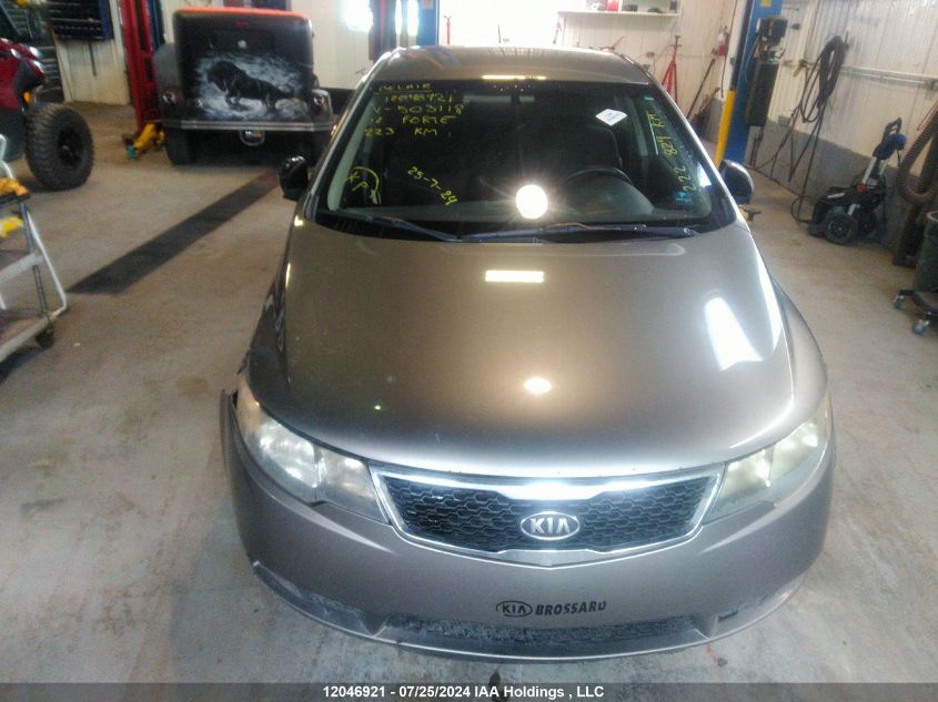 2012 Kia Forte VIN: KNAFU4A22C5503118 Lot: 12046921