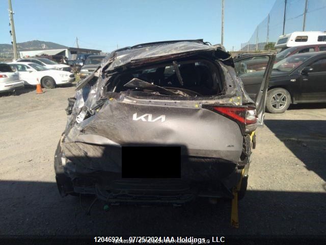 2024 Kia Sportage VIN: KNDPVCDF3R7254001 Lot: 12046924