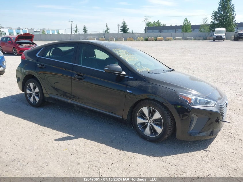 2019 Hyundai Ioniq VIN: KMHC65LD8KU107537 Lot: 12047061