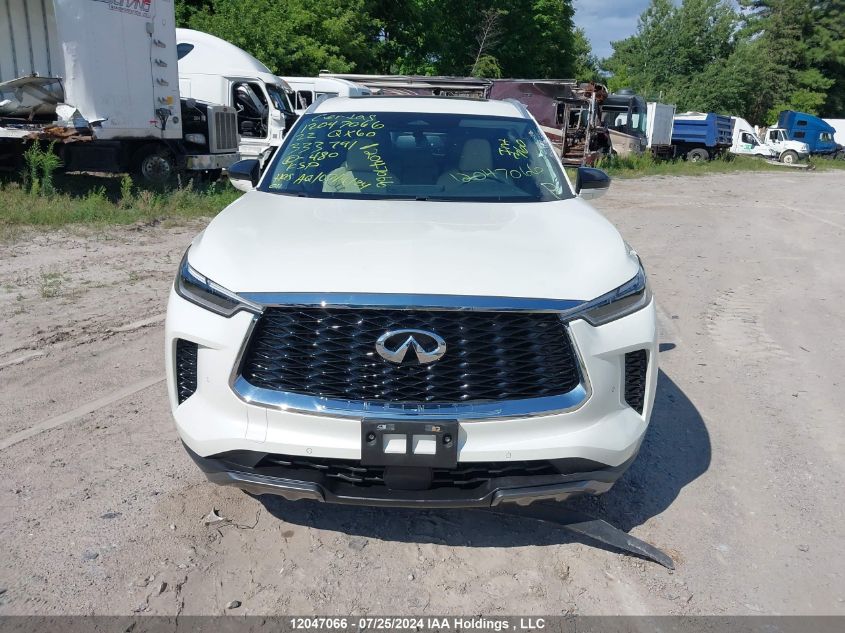 2022 Infiniti Qx60 VIN: 5N1DL1FS9NC333791 Lot: 12047066