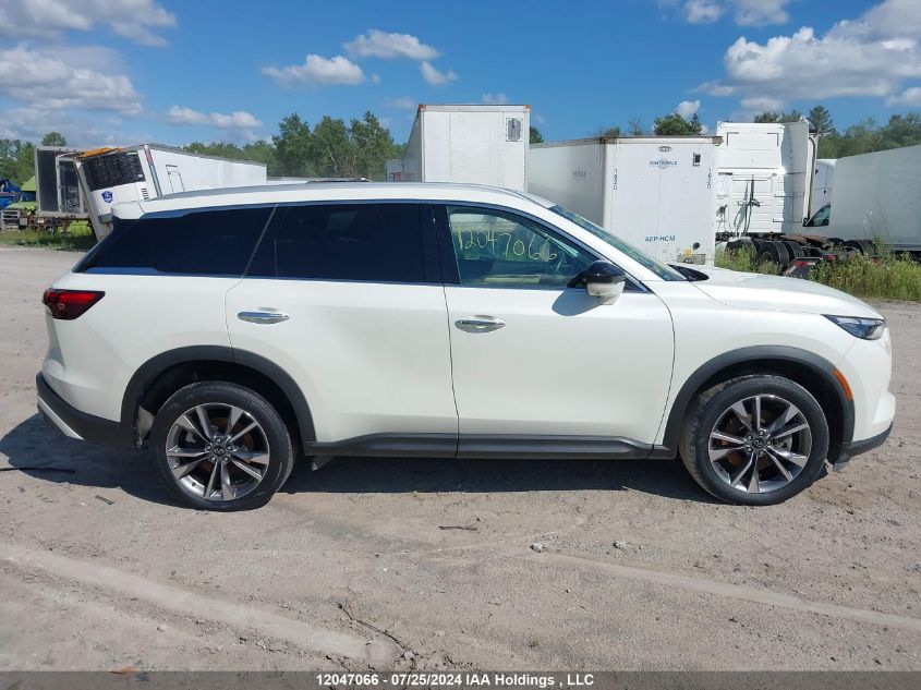 2022 Infiniti Qx60 VIN: 5N1DL1FS9NC333791 Lot: 12047066