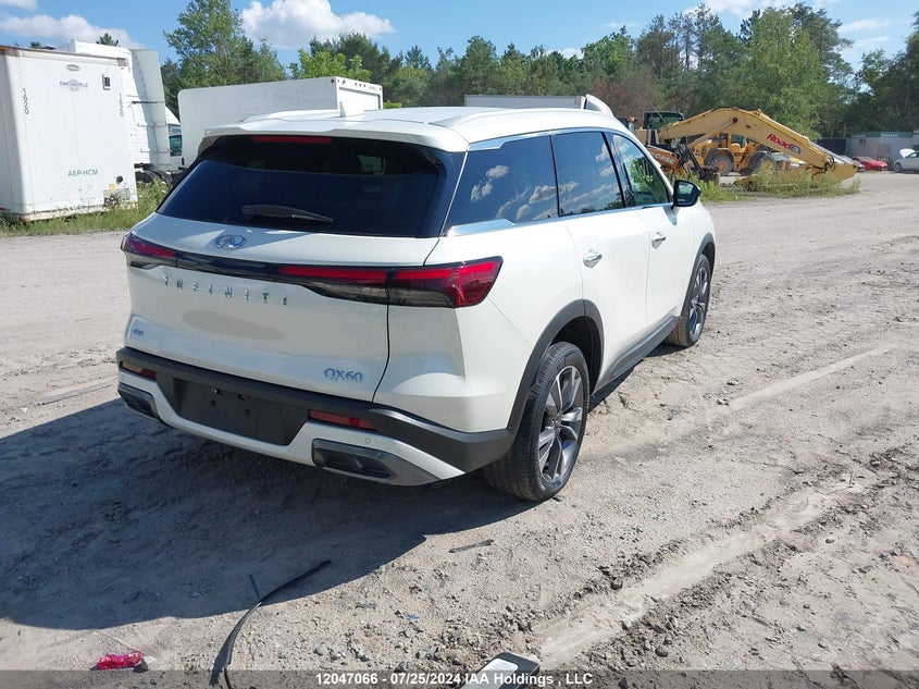 2022 Infiniti Qx60 VIN: 5N1DL1FS9NC333791 Lot: 12047066