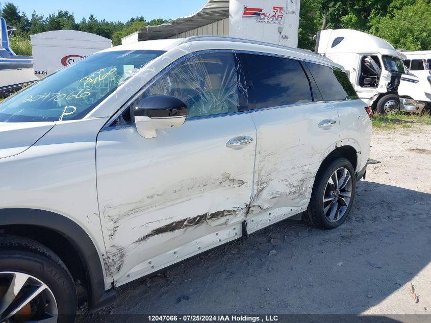 2022 Infiniti Qx60 VIN: 5N1DL1FS9NC333791 Lot: 12047066