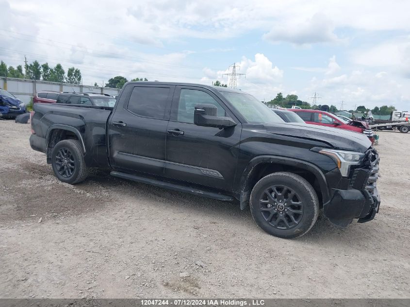 2023 Toyota Tundra Crewmax Platinum/Crewmax 1794 VIN: 5TFNA5EC2PX013482 Lot: 12047244