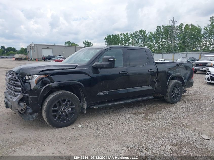 2023 Toyota Tundra Crewmax Platinum/Crewmax 1794 VIN: 5TFNA5EC2PX013482 Lot: 12047244