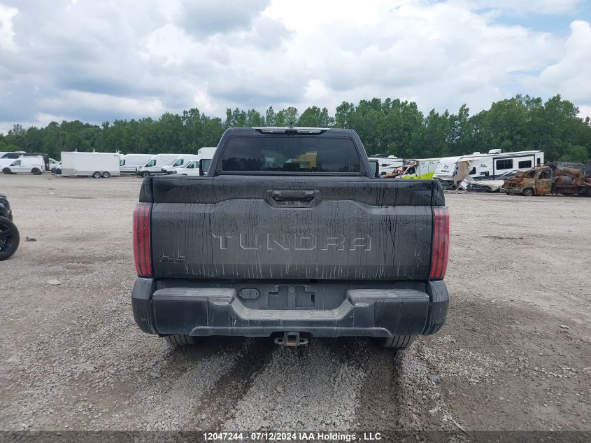 2023 Toyota Tundra Crewmax Platinum/Crewmax 1794 VIN: 5TFNA5EC2PX013482 Lot: 12047244