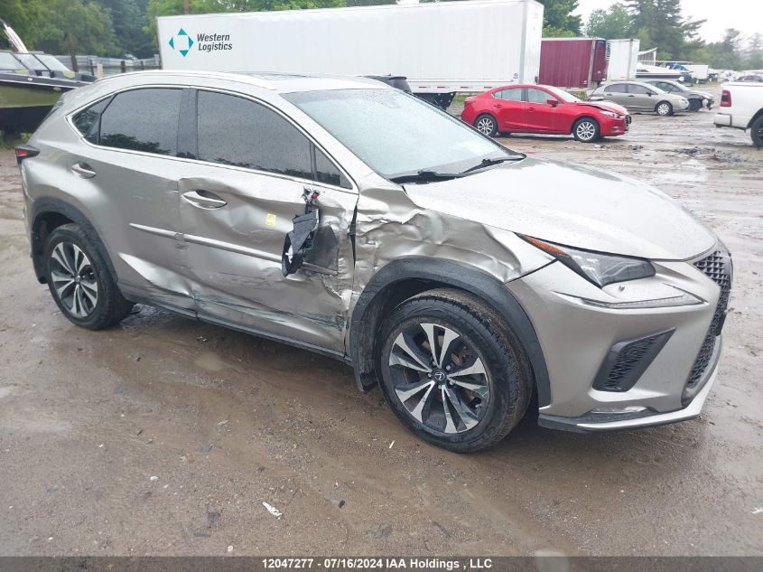 2018 Lexus Nx 300/Base/F Sport VIN: JTJBARBZ3J2167235 Lot: 12047277