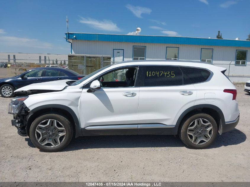 2021 Hyundai Santa Fe Limited VIN: KM8S5DA16MU006923 Lot: 12047435