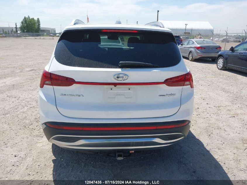 2021 Hyundai Santa Fe Limited VIN: KM8S5DA16MU006923 Lot: 12047435