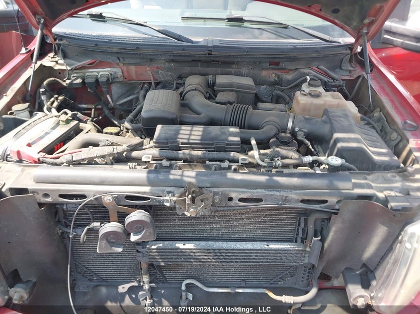 2010 Ford F-150 VIN: 1FTFW1EV5AFB64779 Lot: 12047450