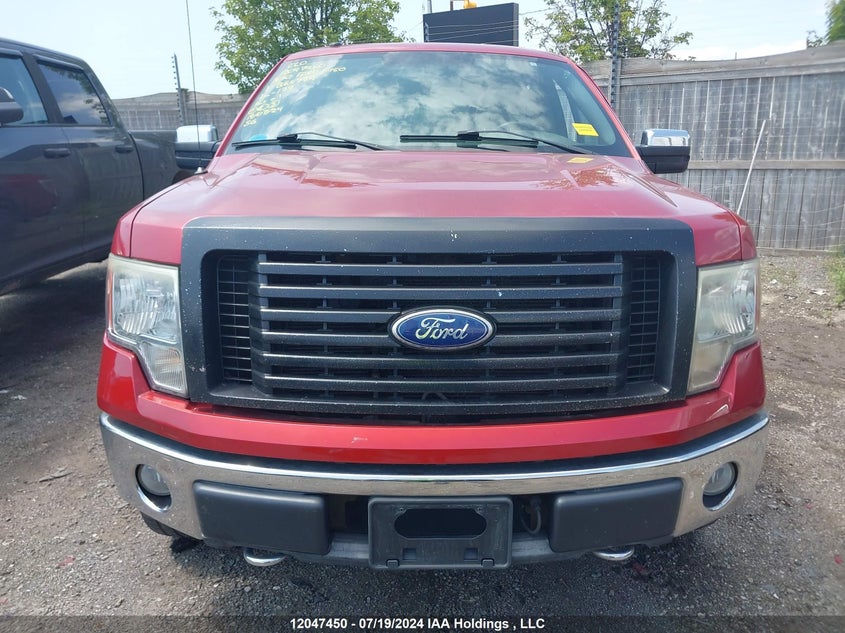 2010 Ford F-150 VIN: 1FTFW1EV5AFB64779 Lot: 12047450