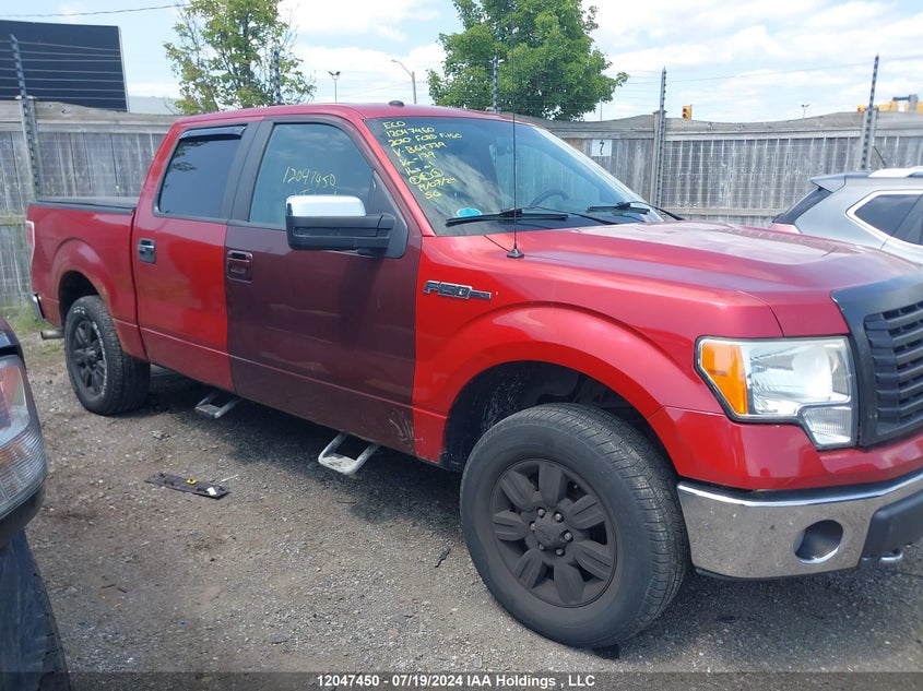 2010 Ford F-150 VIN: 1FTFW1EV5AFB64779 Lot: 12047450