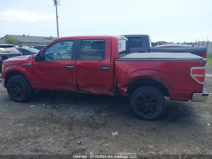 2010 Ford F-150 VIN: 1FTFW1EV5AFB64779 Lot: 12047450