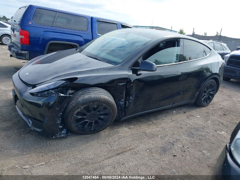 2023 Tesla Model Y VIN: LRWYGDEE5PC079343 Lot: 12047484