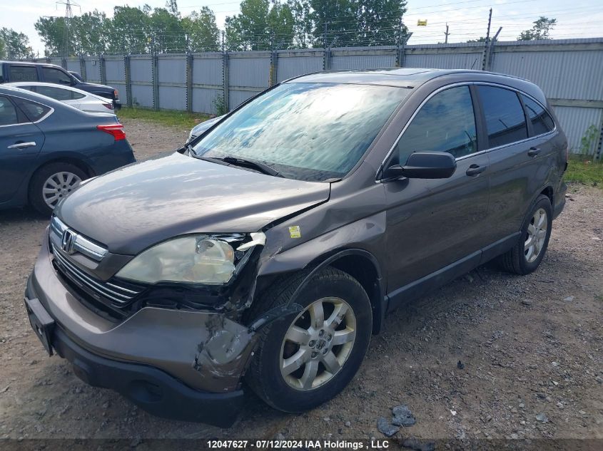 2009 Honda Cr-V VIN: 5J6RE48559L804462 Lot: 12047627