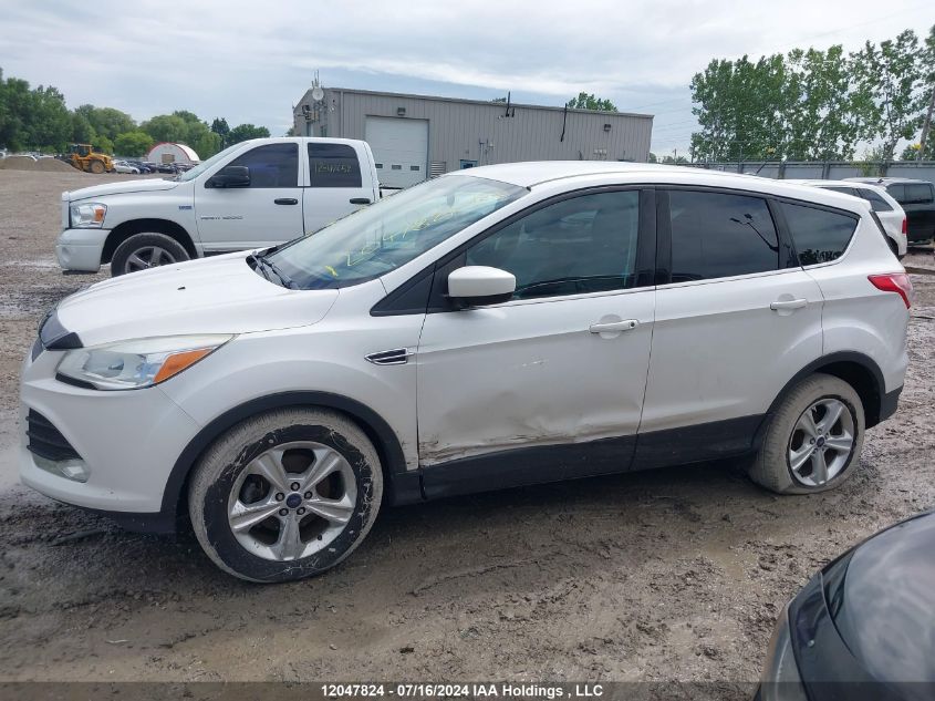 2014 Ford Escape Se VIN: 1FMCU0GX6EUD61720 Lot: 12047824