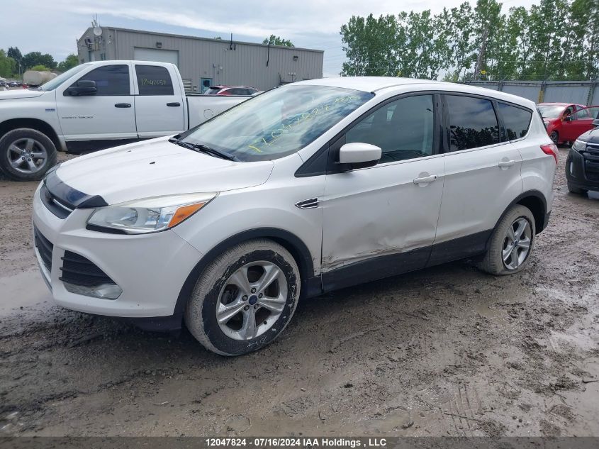 2014 Ford Escape Se VIN: 1FMCU0GX6EUD61720 Lot: 12047824