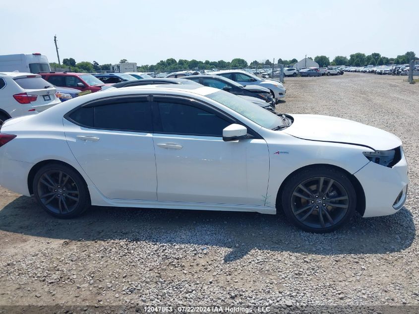 2020 Acura Tlx VIN: 19UUB1F60LA800827 Lot: 12047863