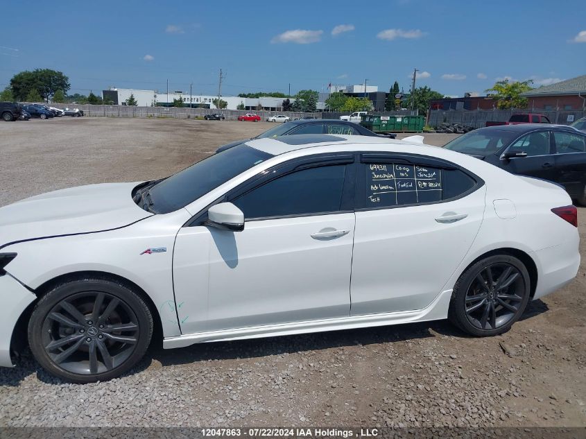 2020 Acura Tlx VIN: 19UUB1F60LA800827 Lot: 12047863