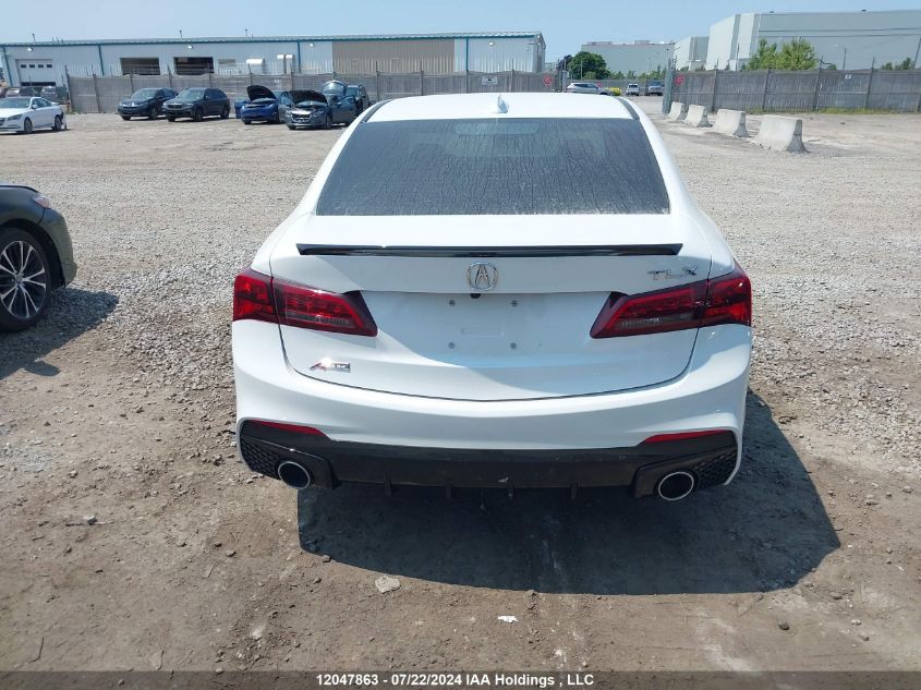 2020 Acura Tlx VIN: 19UUB1F60LA800827 Lot: 12047863