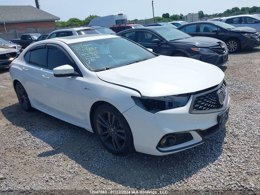 2020 Acura Tlx VIN: 19UUB1F60LA800827 Lot: 12047863