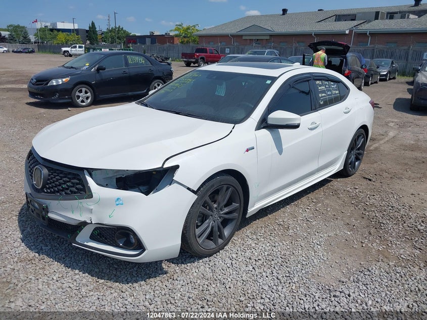 2020 Acura Tlx VIN: 19UUB1F60LA800827 Lot: 12047863