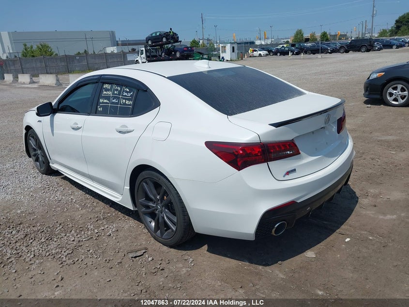 2020 Acura Tlx VIN: 19UUB1F60LA800827 Lot: 12047863