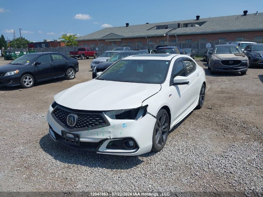 2020 Acura Tlx VIN: 19UUB1F60LA800827 Lot: 12047863