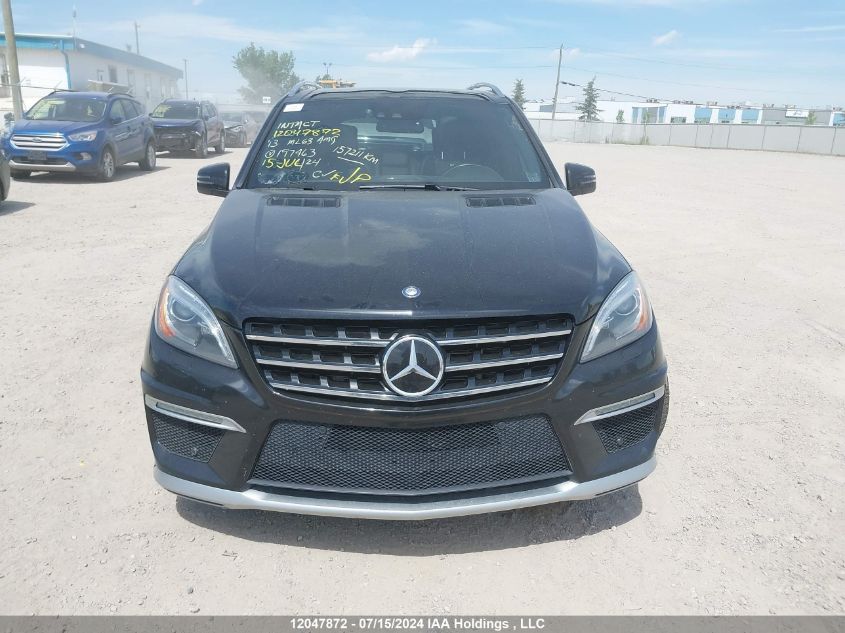 2013 Mercedes-Benz Ml-Class VIN: 4JGDA7EB6DA197463 Lot: 12047872