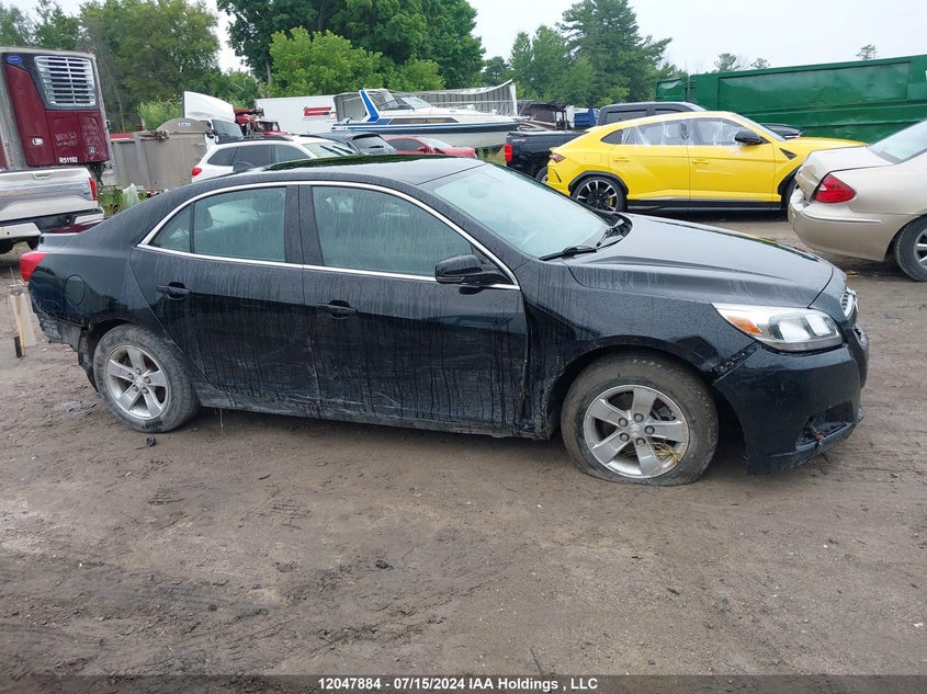 2013 Chevrolet Malibu VIN: 1G11B5SA1DU143774 Lot: 12047884