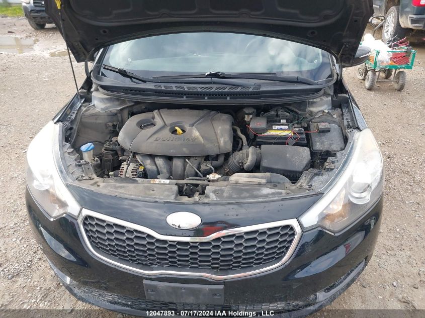 2014 Kia Forte VIN: KNAFX4A69E5124453 Lot: 12047893