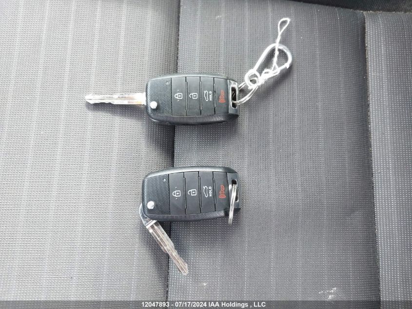 2014 Kia Forte VIN: KNAFX4A69E5124453 Lot: 12047893