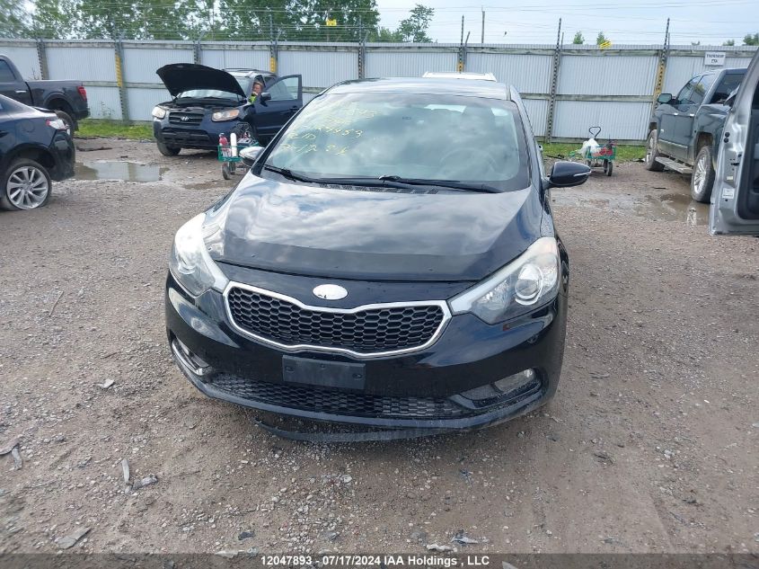 2014 Kia Forte VIN: KNAFX4A69E5124453 Lot: 12047893