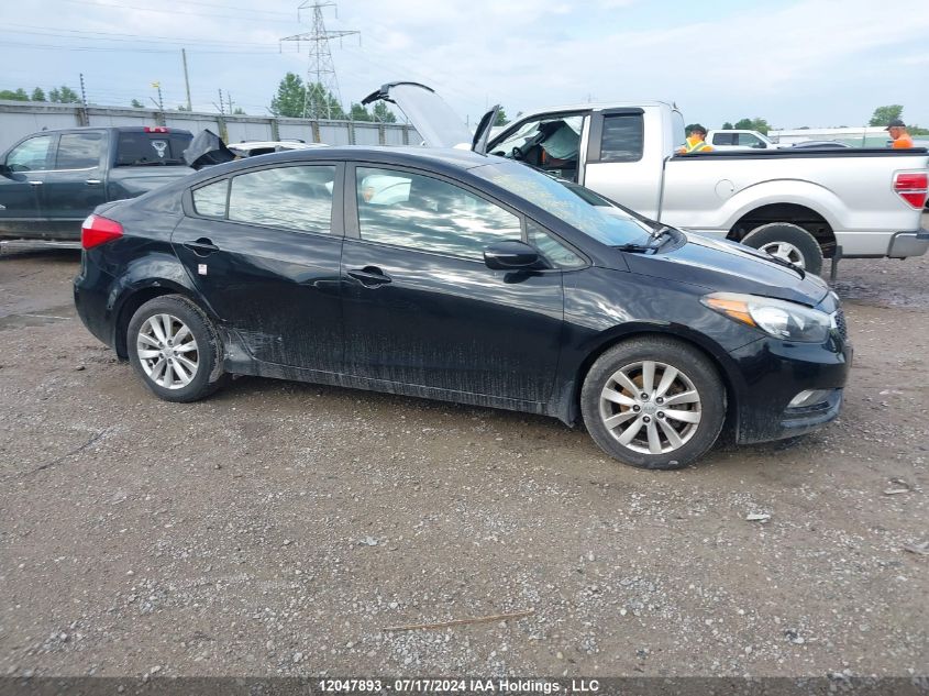 2014 Kia Forte VIN: KNAFX4A69E5124453 Lot: 12047893