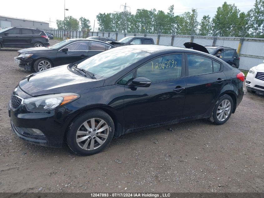 2014 Kia Forte VIN: KNAFX4A69E5124453 Lot: 12047893