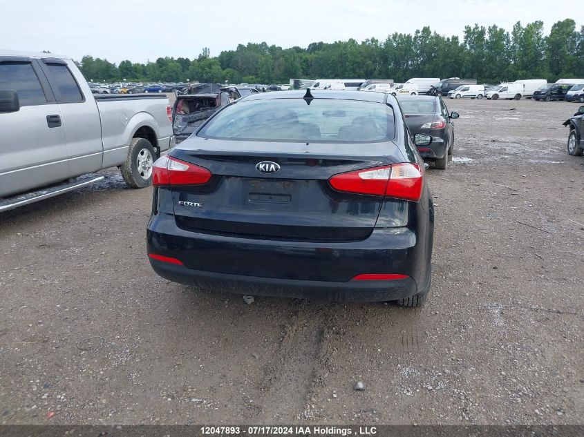 2014 Kia Forte VIN: KNAFX4A69E5124453 Lot: 12047893