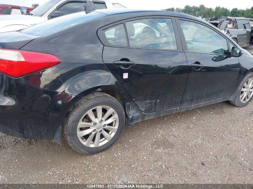 2014 Kia Forte VIN: KNAFX4A69E5124453 Lot: 12047893