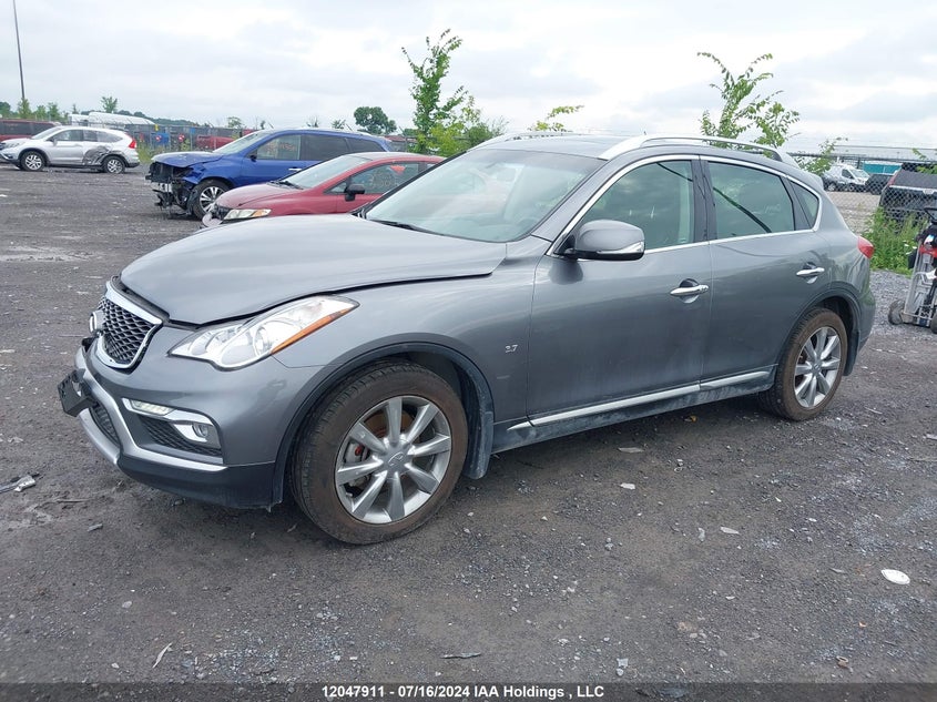 2016 Infiniti Qx50 VIN: JN1BJ0RR8GM266640 Lot: 12047911